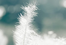 關于MDR法規2017/745：主要變化是什么？